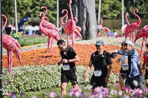 BIB: 
                            <button type="button" onclick="openModal(27793161)" class="btn btn-primary btn-sm float-right btn-popup" data-toggle="modal" data-target=".modal-high-quality">
                        <i class="fas fa-shopping-cart"></i> Add to Cart
                    </button>
                                            <button type="button" onclick="isThisMe(27793161, true)" class="btn btn-success btn-sm float-right btn-popup btn-isme hidden" data-toggle="tooltip" data-placement="bottom" title="นี่คือรูปของคุณใช่ไหม คลิกที่นี่เพื่อเอาเข้าอัลบั้ม">
                        <i class="fas fa-plus"></i> Add to album
                    </button>
                    <button type="button" onclick="isThisMe(27793161, false)" class="btn btn-warning btn-sm float-right btn-popup btn-isnotme hidden">
                        <i class="fas fa-ban"></i> Remove from album
                    </button>